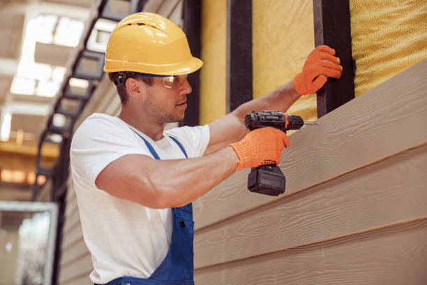 Best Insulated Siding Installation  in Cary, IL